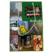 マサチューセッツ州ボストン ミディアムペーパーバッグ (正面)