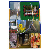 マサチューセッツ州ボストン ミディアムペーパーバッグ (正面)