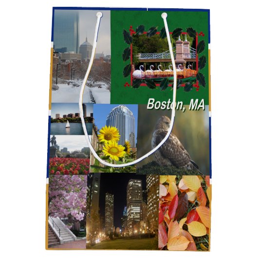 マサチューセッツ州ボストン ミディアムペーパーバッグ (裏面)