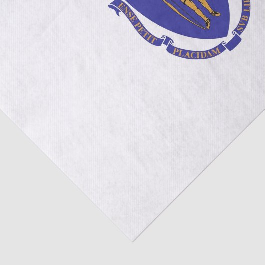 マサチューセッツ州旗を持つ愛国的ティッシュペーパー 薄葉紙 (詳細)