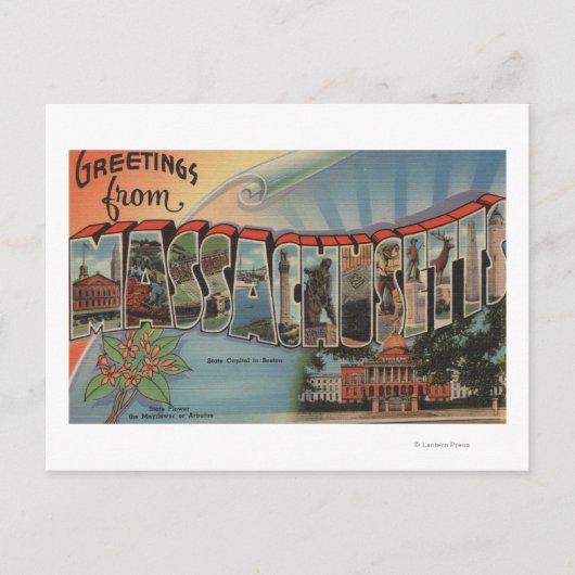 マサチューセッツ州(州首都/花) ポストカード (正面)