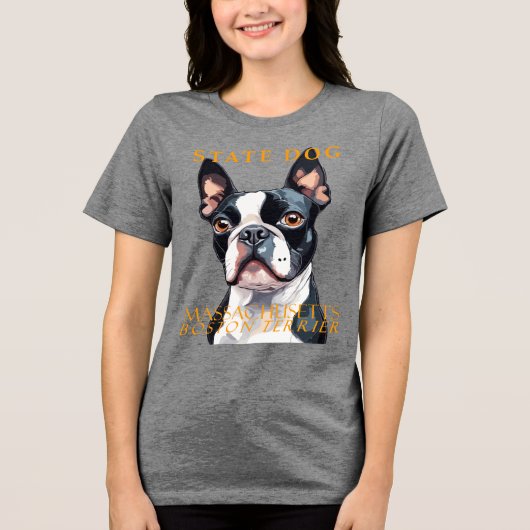 マサチューセッツ州Territory Dog The Boston Terrier Art トライブレンドＴシャツ (正面)