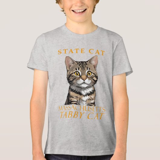 マサチューセッツ準州の猫 タビー猫 トライブレンドTシャツ (正面)