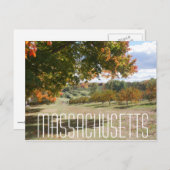 マサチューセッツ秋の葉葉の木のポストカード ポストカード (正面/裏面)
