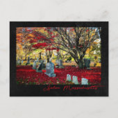 マサチューセッツ離れ州サレムで落下する ポストカード (正面)