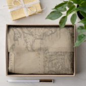 マサチューセッツ5 薄葉紙 (ギフト)