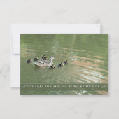 マザーアヒルとアヒルが私のサイドフラット サンキューカード (正面)