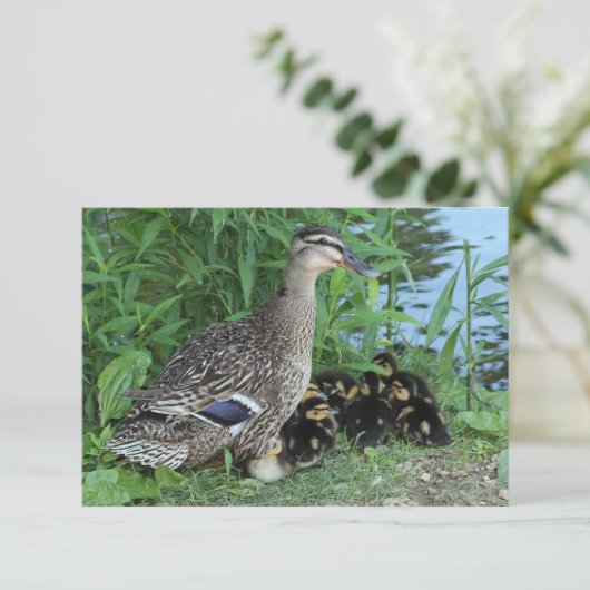 マザーアヒルとアヒルの先生感謝 サンキューカード (スタンド正面)