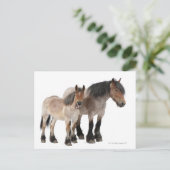 マザーアンドフォーアルベルギーホース ポストカード (スタンド正面)