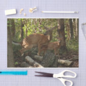 マザーアンドベビーディアアットシェナンドア国立公園 薄葉紙 (クラフト)