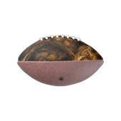 マザーアース抽象芸術アート アメリカンフットボール (回転270)