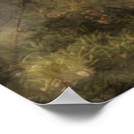 マザーアース ポスター (角)