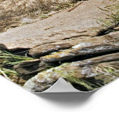 マザーウルフと2つのカッブポスター ポスター (角)