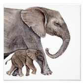 マザーエレファントベビーエレファントフォトアートプリント フォトプリント            (正面)