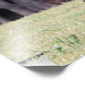 マザーカンガルーとベビージョーイ彼女のポーチ フォトプリント            (角)