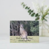 マザーカンガルーとベビージョーイ彼女のポーチ ポストカード (スタンド正面)