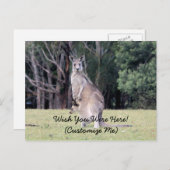 マザーカンガルーとベビージョーイ彼女のポーチ ポストカード (正面/裏面)