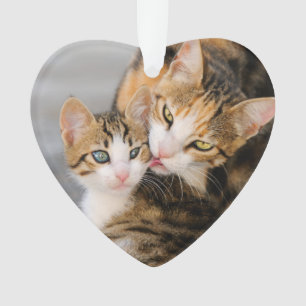 マザーキャットが可愛い子猫アクリルオーナメント オーナメント