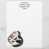 マザーキャットと子猫のレターヘッド レターヘッド (正面)
