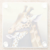 マザーキリン&カーフの感動の瞬間 ガラスコースター (裏面)