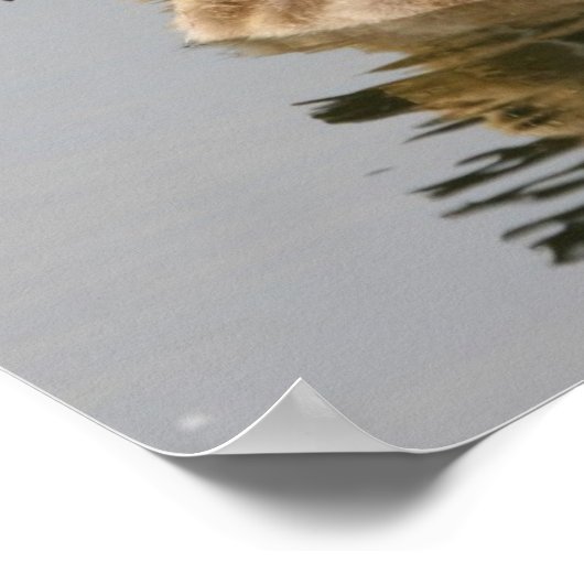 マザーグースと彼女のゴスリング ポスター (角)