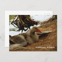 マザーグースはがき