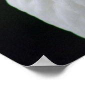 マザーグース ポスター (角)