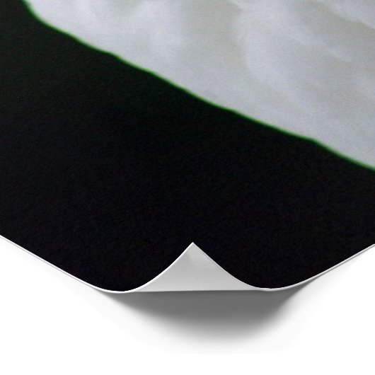 マザーグース ポスター (角)