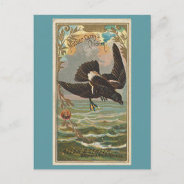 マザーケリー鶏 ポストカード