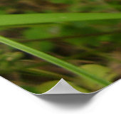 マザーシプトンモスポスター ポスター (角)