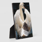 マザースワンとシグネッツ(ベビーの白鳥) フォトプラーク (側面)