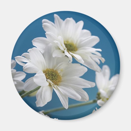 マザーズデイガーデンの愛、デイジー、ブルースカイ マグネット (正面)