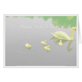 マザーズデイスワン湖