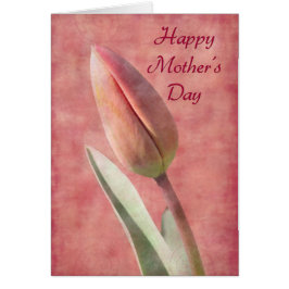 マザーズデイチューリップ