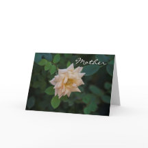 マザーズデイバニラバラ