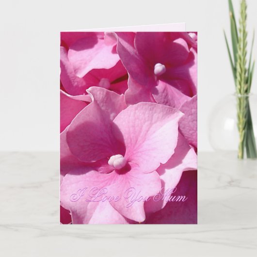 マザーズデイピンクアジサイのカード カード (正面)