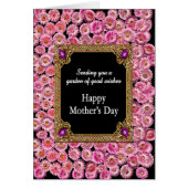 マザーズデイピンクデイジー (正面)