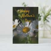 マザーズデイフラットカードデイジー カード (スタンド正面)