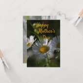 マザーズデイフラットカードデイジー カード (正面/裏面インサイチュ)