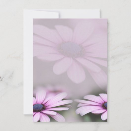 マザーズデイブランチデイジー招待状 招待状 (裏面)