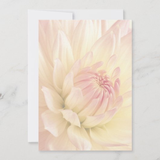 マザーズデイブルンチダリア招待状 招待状 (裏面)