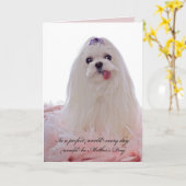 マザーズデイマルチーズドッグ カード (黄色い花)