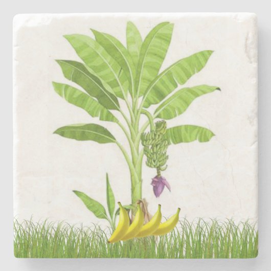 マザーズデイマーブルストーンコースターバナナツリー ストーンコースター (正面)
