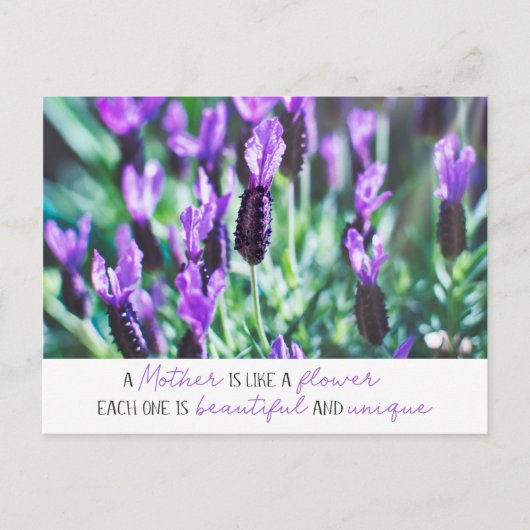 マザーズデイラベンダーフィールド感動的引用文 ポストカード (正面)