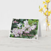 マザーズデイラン カード (黄色い花)