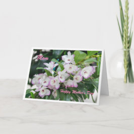 マザーズデイラン カード