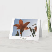 マザーズデイリリー カード (裏面)