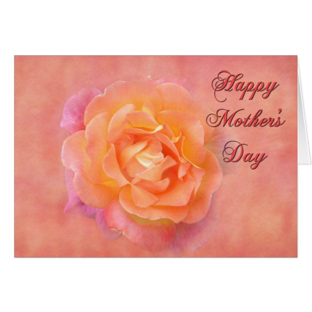 マザーズデイ数々のバラ (正面横)