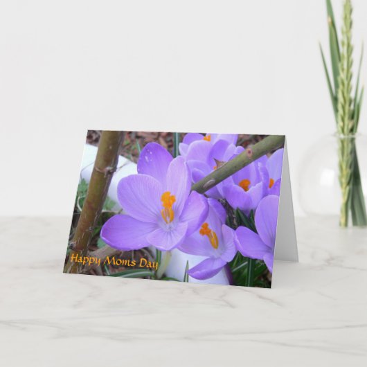 マザーズデイ春カード カード (正面)