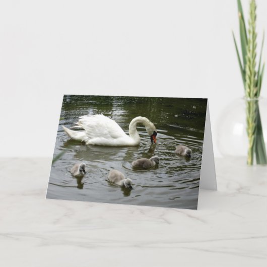 マザーズデイ白鳥の湖 – カード (正面)
